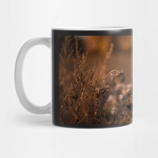 Sunflowers in the sunset Mug